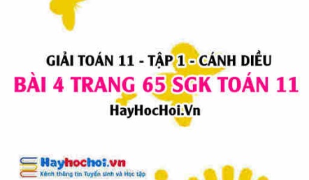 Giải bài 4 trang 65 Toán 11 tập 1 SGK Cánh Diều